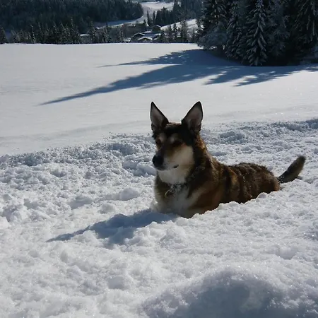 Huber Appartamento *